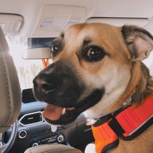 Meet your Posher, Bryan